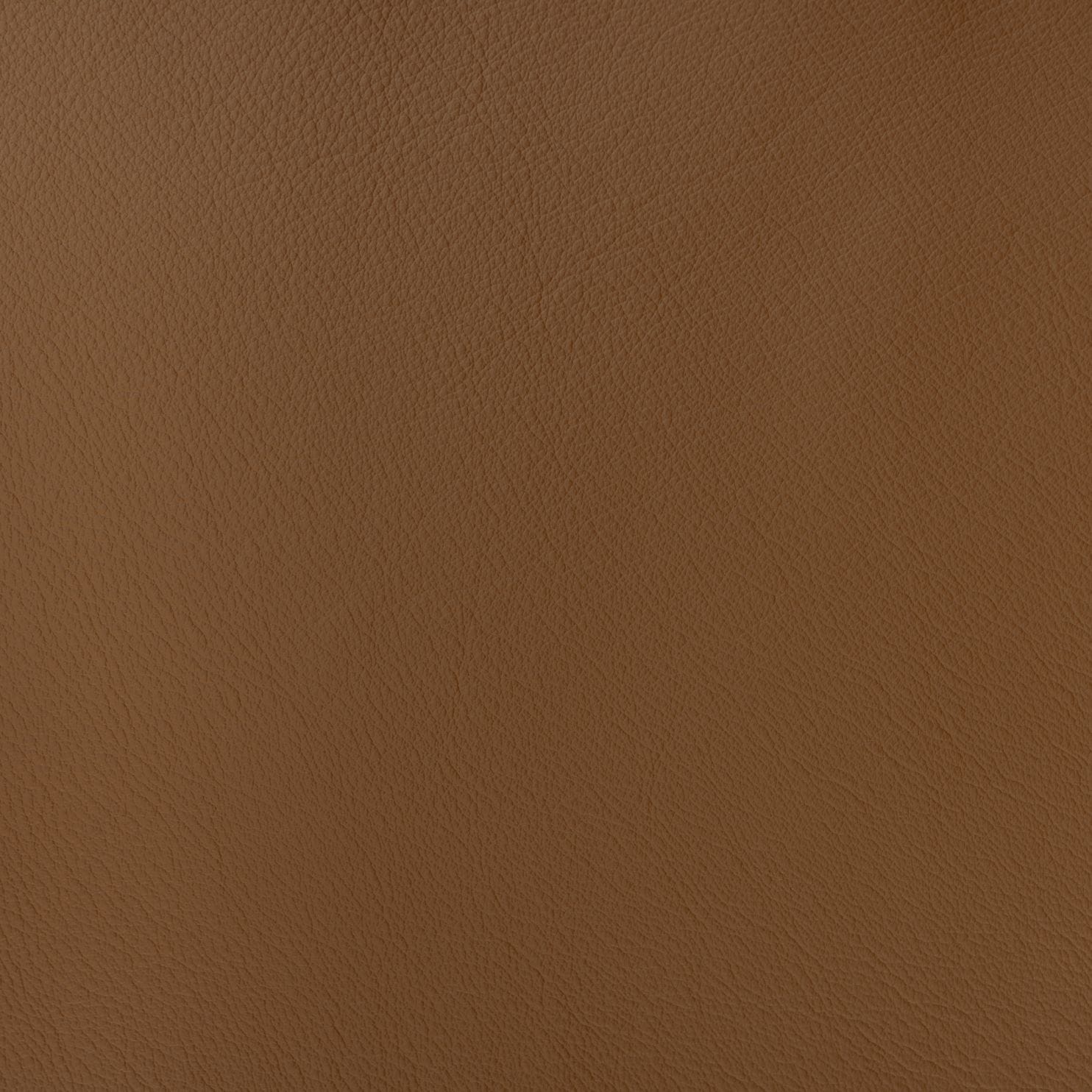 Ascot-ecru-2155